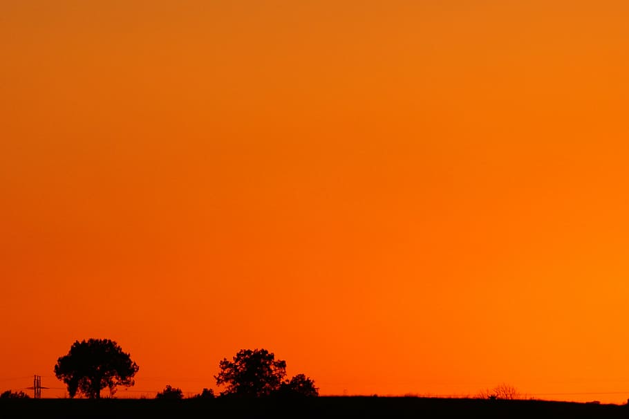 sunset, mexico, tlaxcala, orange, against light, nature, tree HD wallpaper
