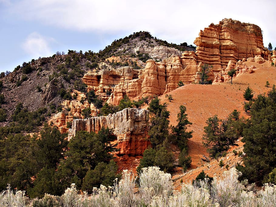 Zion National Park, Utah, Usa, red, rocks, erosion, landscape, HD wallpaper
