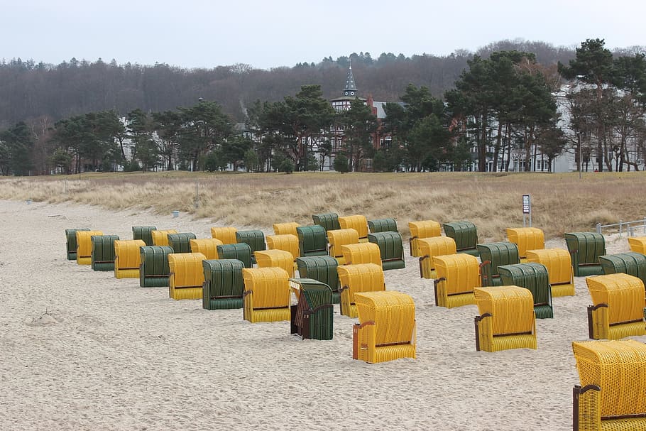 beach, binz, rügen, tree, in a row, land, plant, seat, nature HD wallpaper
