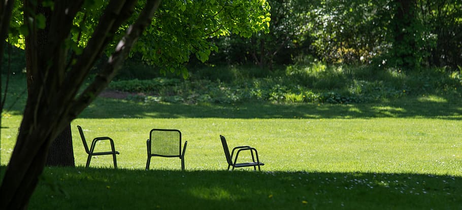 HD wallpaper: grass, rest, chair, nature, bank, wood, summer, tree, meadow  | Wallpaper Flare