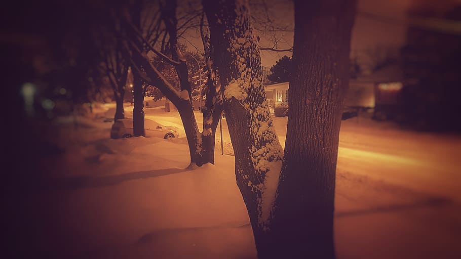Pavement Covered With Snow Beside Road, backlit, canada, cold HD wallpaper
