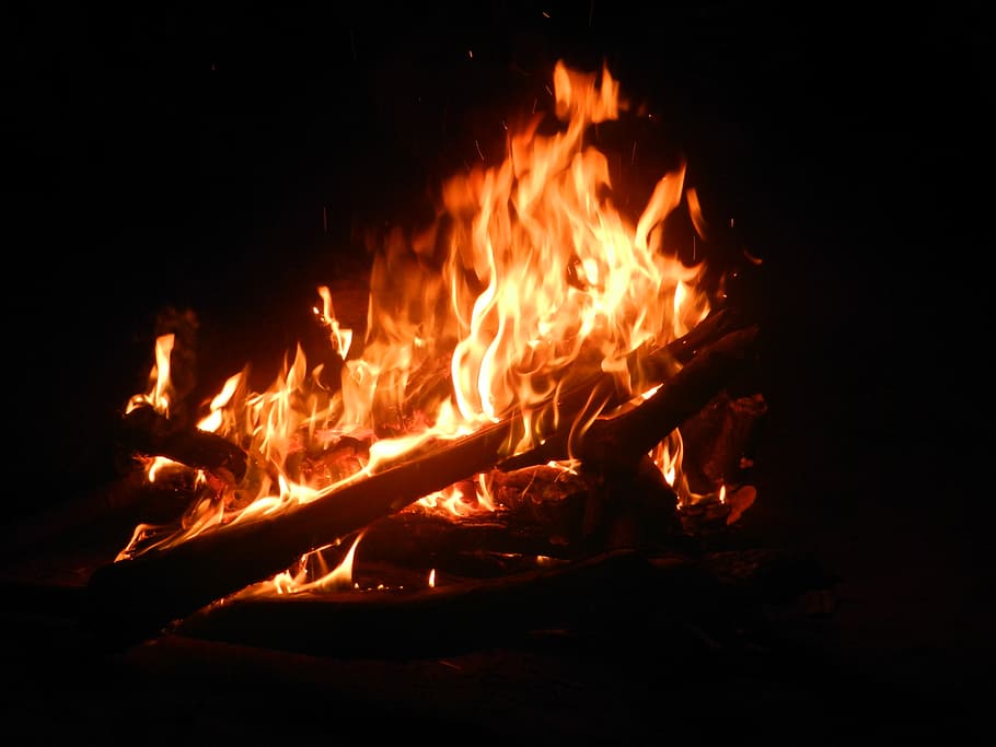firewood on fire, campfire, flame, burn, heat, hot, blaze, bonfire HD wallpaper