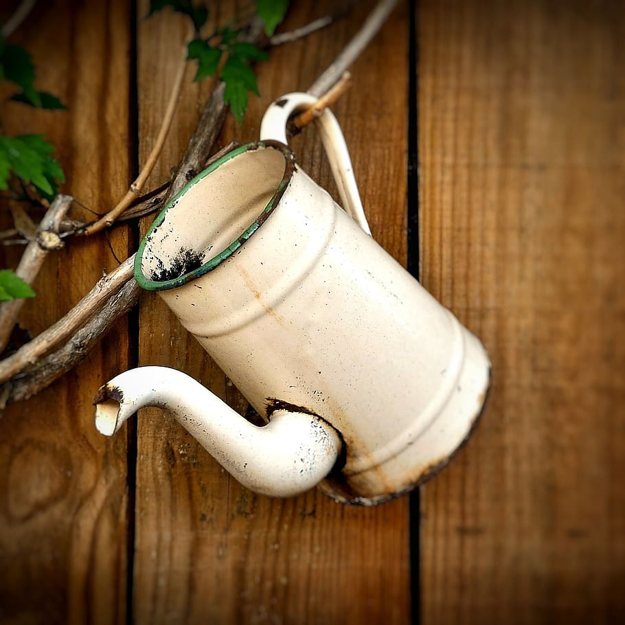 white watering can hanging on vines, wood, coffee maker, still lifes HD wallpaper