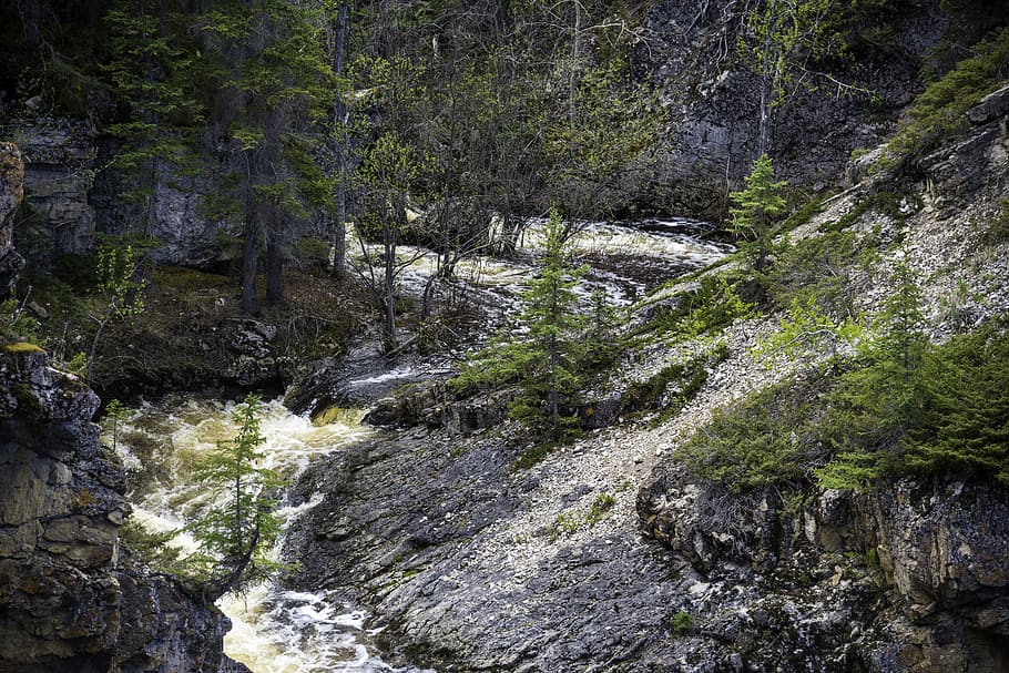 Downstream Scenery at McNallie Creek, canada, landscape, landscapes, HD wallpaper