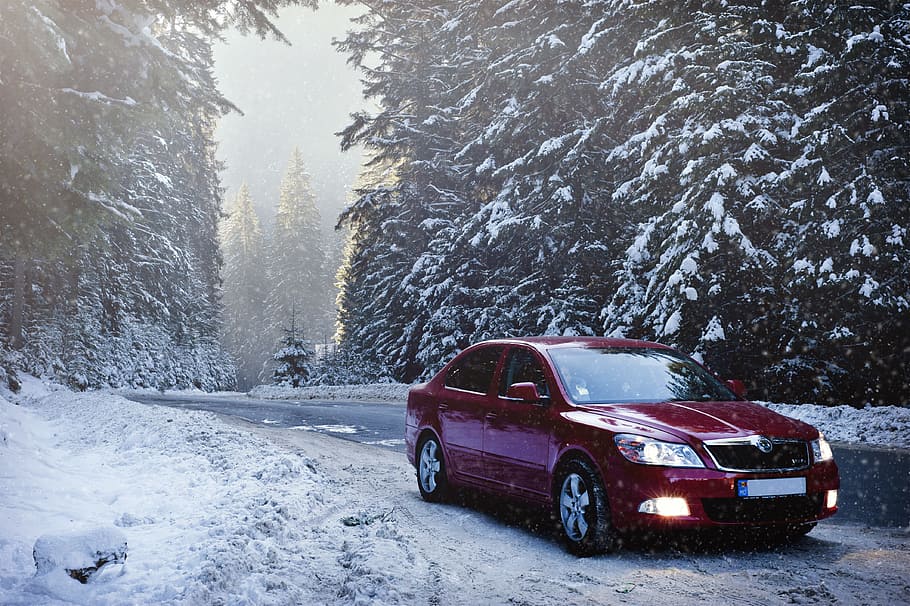 cold, snow, road, landscape, auto, car, driving, fog, forest HD wallpaper