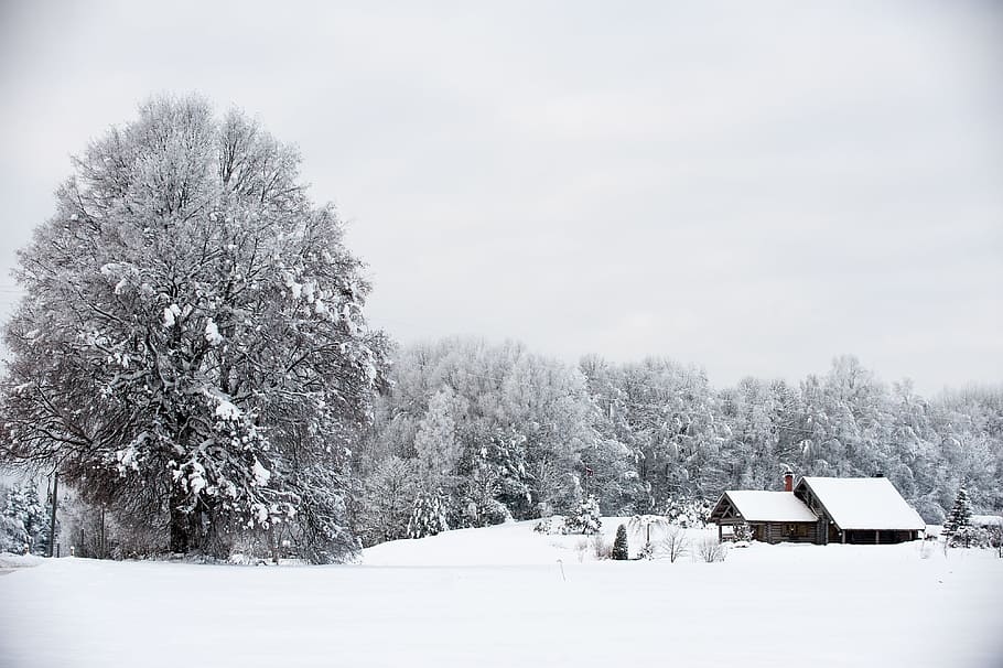Snowy landscape with winter house, nature, cold - Temperature HD wallpaper
