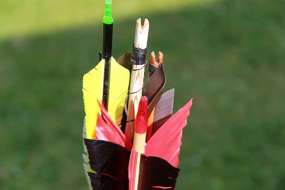 archery, arrow, sport, without fail, bull's eye, day, focus on foreground HD wallpaper