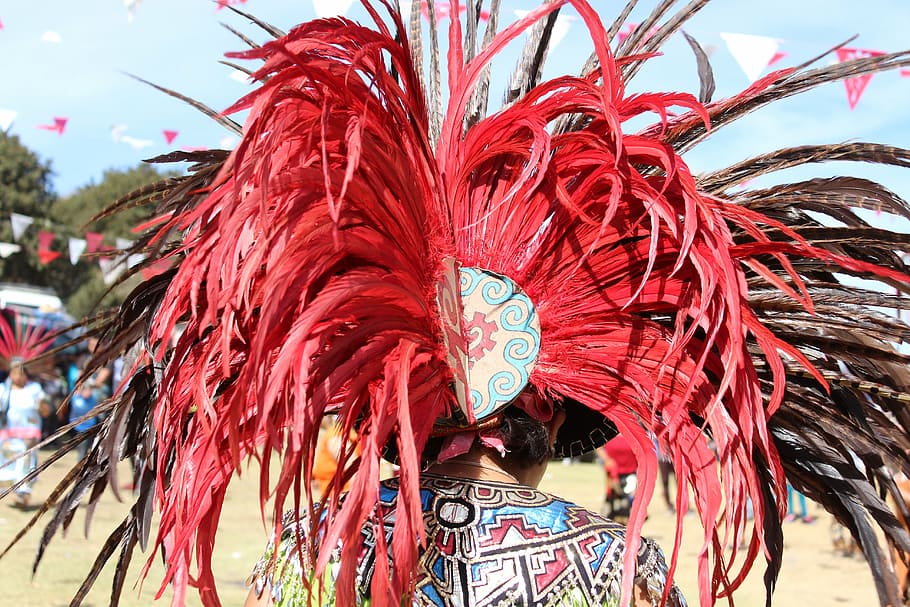 feathers, tuft, red, plumage, indian, ritual, coat of arms HD wallpaper