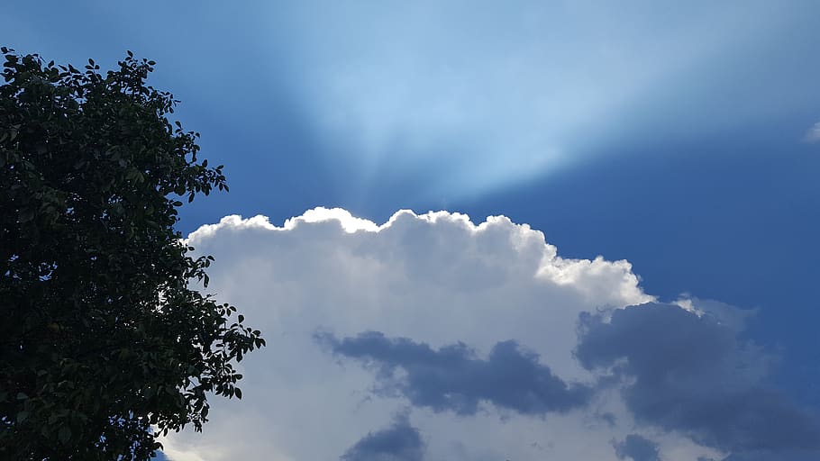 sun, cloud, the sky, cloud - sky, tree, low angle view, beauty in nature HD wallpaper