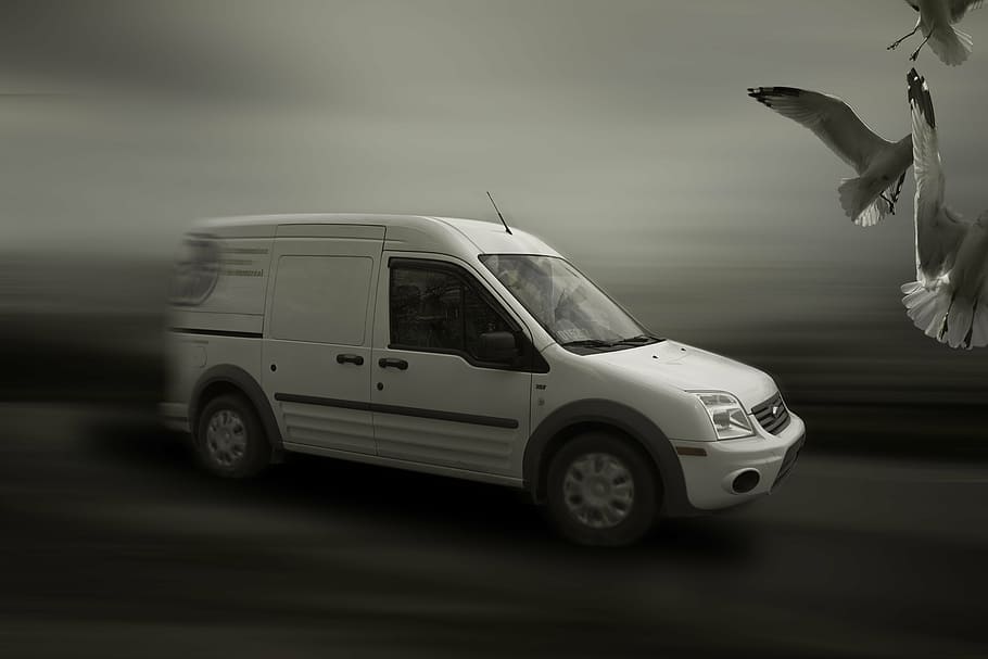 grayscale Ford Tourneo Connect minivan on road with birds in front