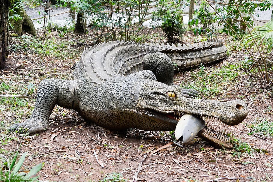 dinosaur, robot, jurassic, animal, animal themes, animal wildlife HD wallpaper