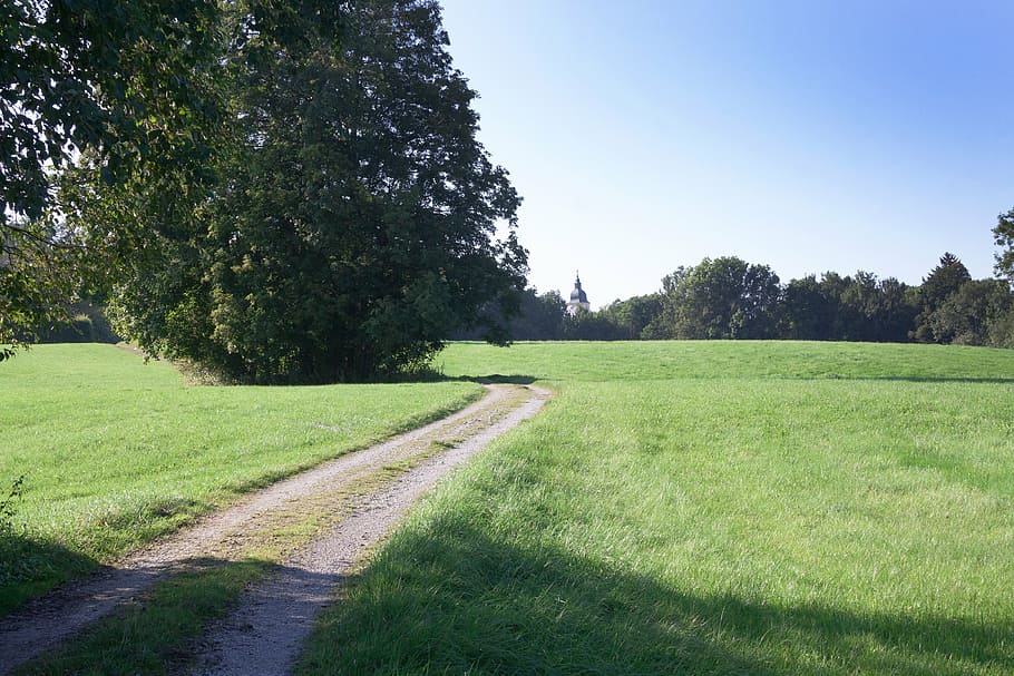 away, meadow, tree, nature, landscape, field, forest, path HD wallpaper