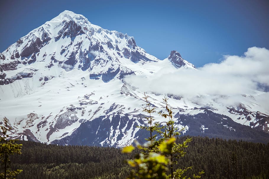 adventure, close-up, clouds, cold, daylight, forest, glacier HD wallpaper