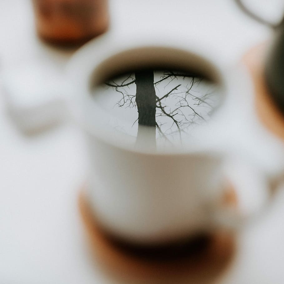reflection of tree in black coffee, window, forest, adult, indoors HD wallpaper
