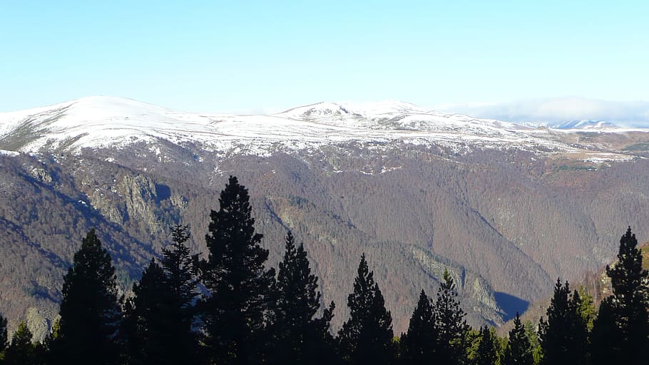 mountains, snowy, landscape, fir, winter, scenics - nature HD wallpaper