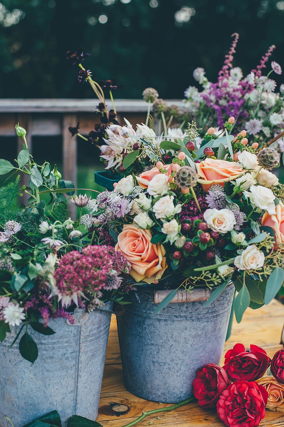 plants, flower, decor, bunch, roses, bucket, petals, stem, leaves HD wallpaper