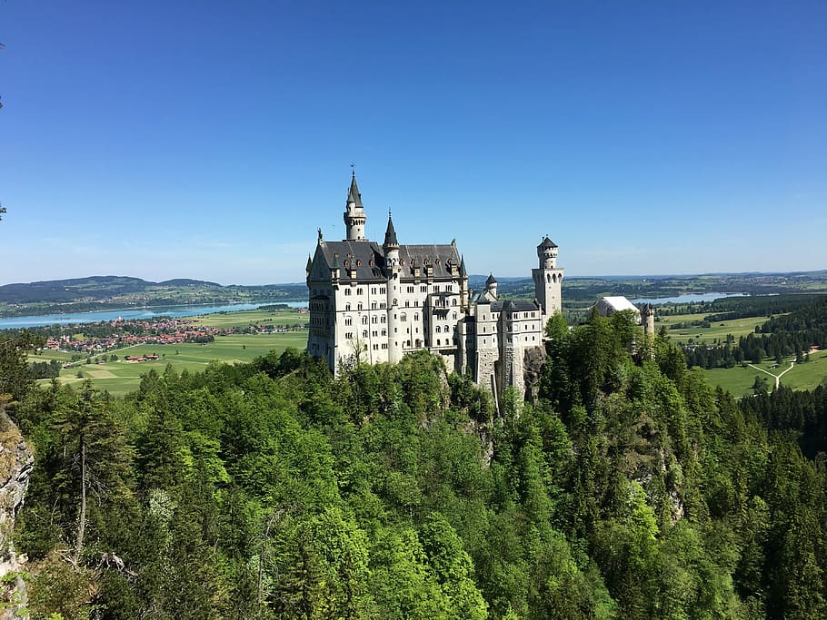 Neuschwanstein during summer, white and gray castle during daytime HD wallpaper