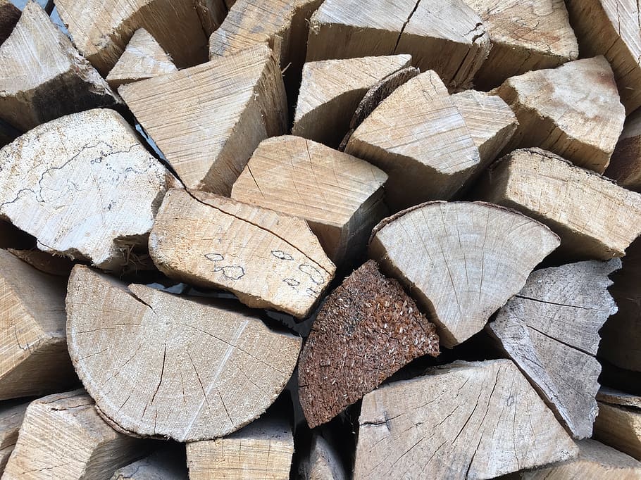 wood, forest, trees, structure, timber, full frame, wood - material HD wallpaper