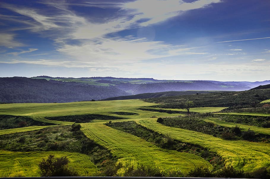 Fields, Lleida, Plantations, landscape, beauty in nature, scenics, HD wallpaper