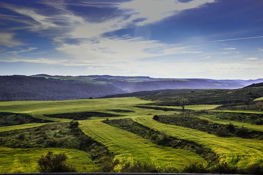 Fields, Lleida, Plantations, landscape, beauty in nature, scenics HD wallpaper
