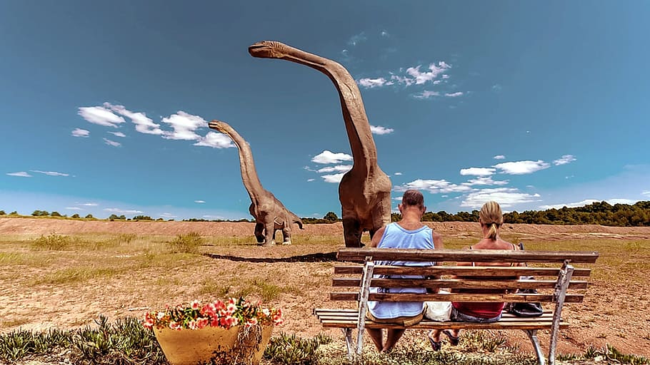 person sitting on brown bench with brontosaurus, Dinosaur, Field HD wallpaper