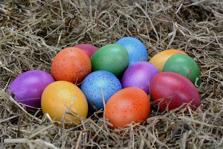 assorted Easter eggs on nest, decoration, easter decoration HD wallpaper