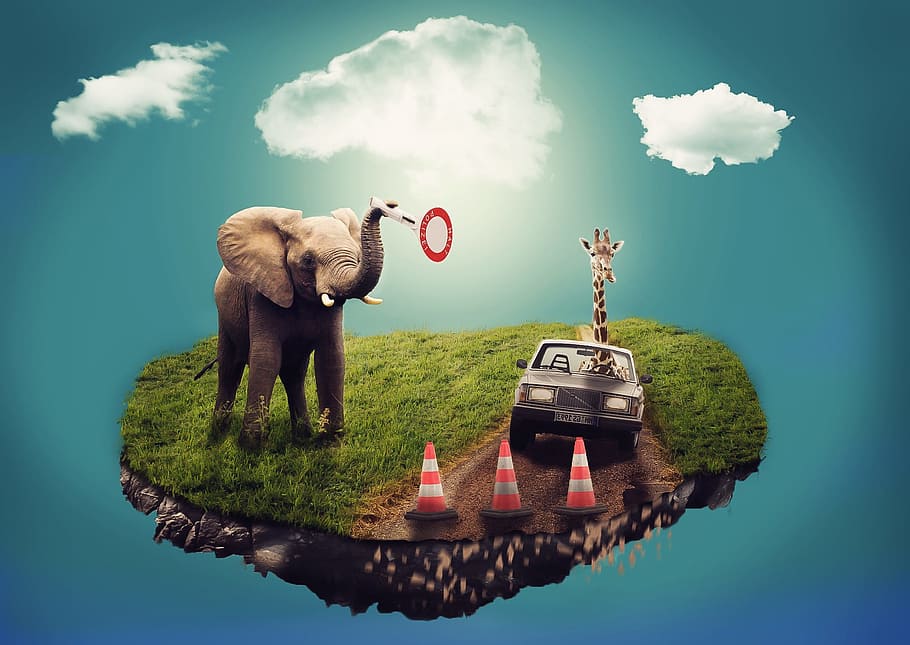 elephant on field with giraffe on sedan, dream, surreal, composition HD wallpaper