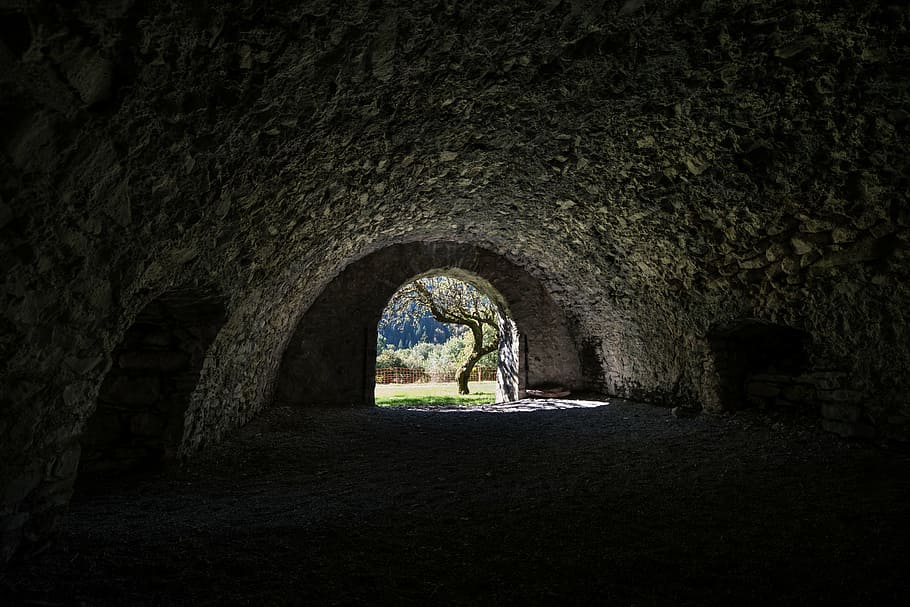 grey tunnel, black, bare, tree, near, entrance, black and white HD wallpaper