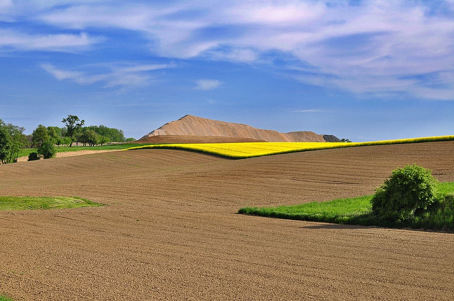 landscape, nature, sky, contrasts, field, spring, bright, blue sky HD wallpaper