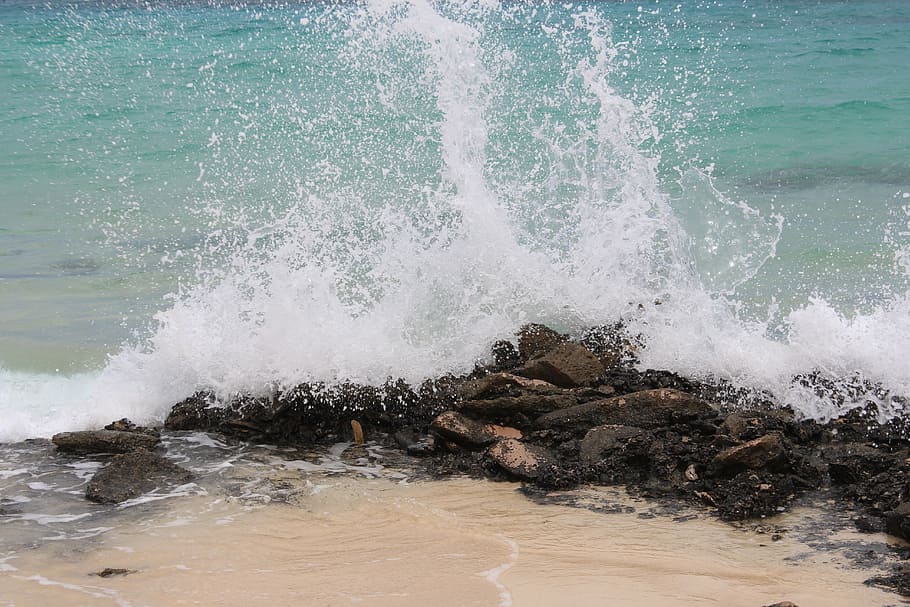seawave illustration, ocean, water, waves, tropical, beach HD wallpaper