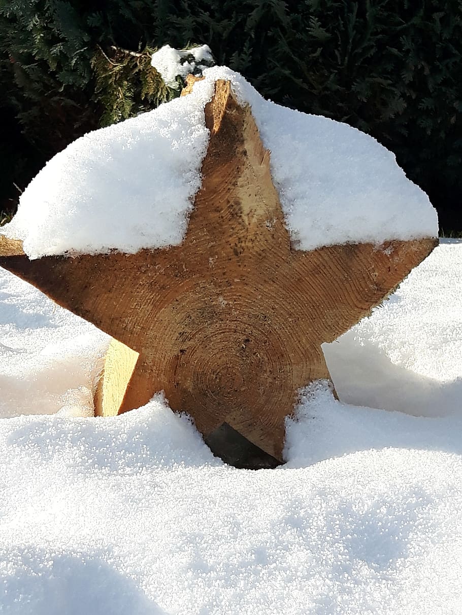 Snow, Winter, Woods, Log, Decor, star, christmas, cold temperature HD wallpaper