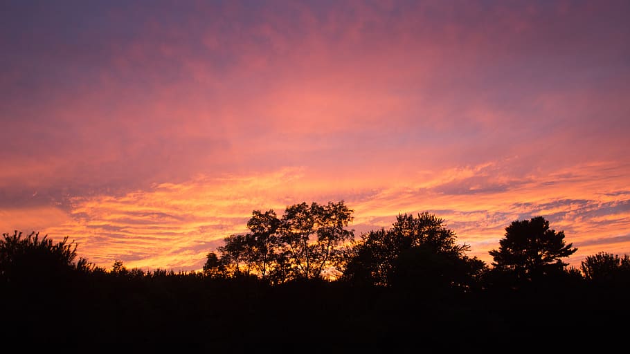 sunset, pink, yellow, clouds, cloudscape, trees, nature, landscape HD wallpaper