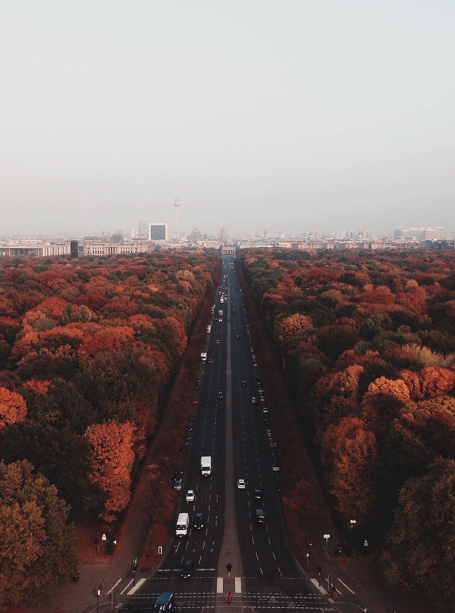 gray road in between lush forest, aerial view of vehicles running on a two-lane roads in between trees with building ahead under white sky during daytime HD wallpaper