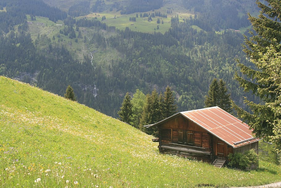 HD wallpaper: cabin on mountain, chalet, cottage, alps, alpine ...