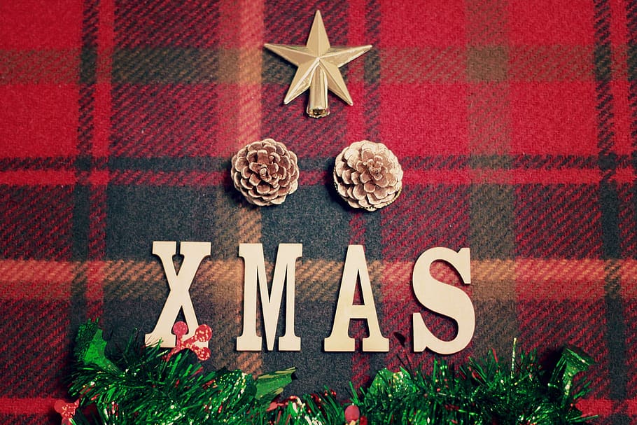X Mas, christmas tree star, and two pinecones, decoration, winter HD wallpaper