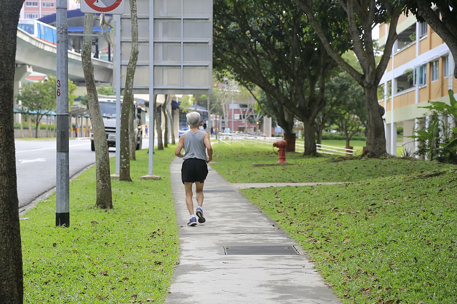 pedestrian, pathway, running, greens, nature, city, runner HD wallpaper