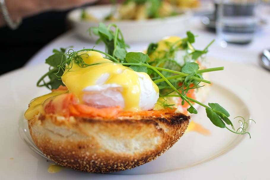 bread with herb, cafe, brunch, eggs on toast, egg benedict HD wallpaper