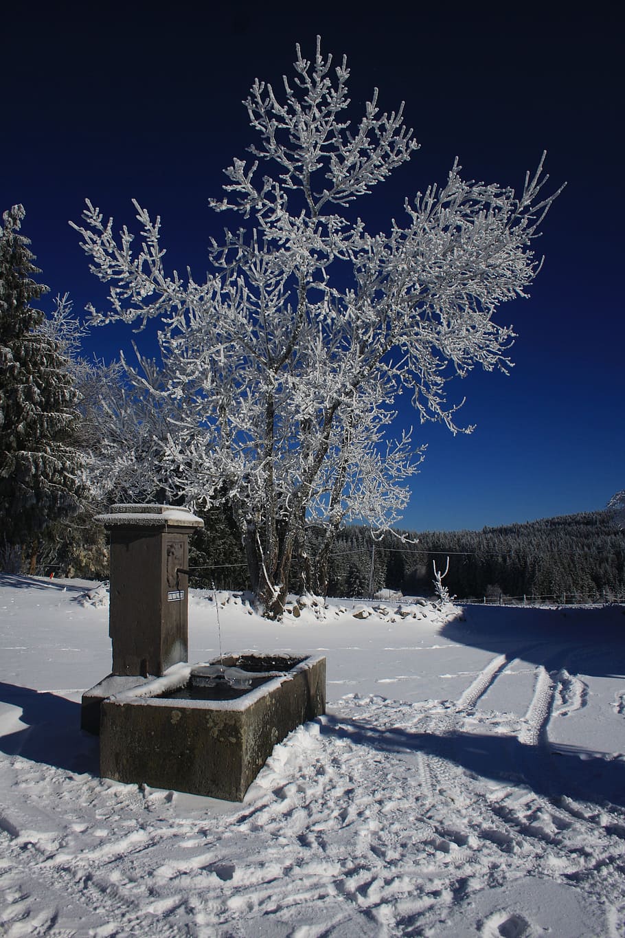 Snow, Scene, Winter, Cold, Nature, Sky, trees, cold temperature HD wallpaper