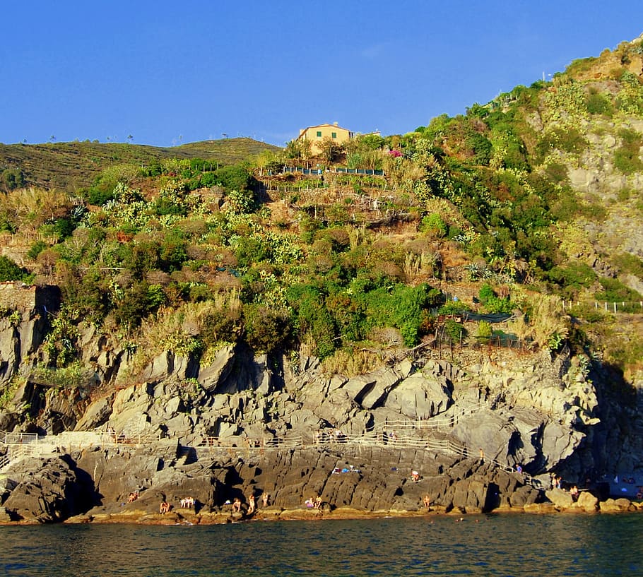 House, Rock, Green, Tree, Mountain, Sky, animal wildlife, animals in the wild HD wallpaper