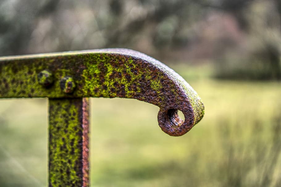railing, bridge, rusty, old broken, moss, grass, green, leave HD wallpaper