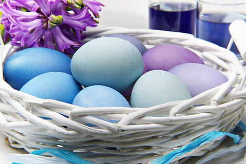 Easter eggs on white basket, traditionally, nest, color, food HD wallpaper