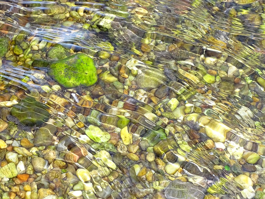 assorted stone pebbles in clear water, river, stones, flow HD wallpaper
