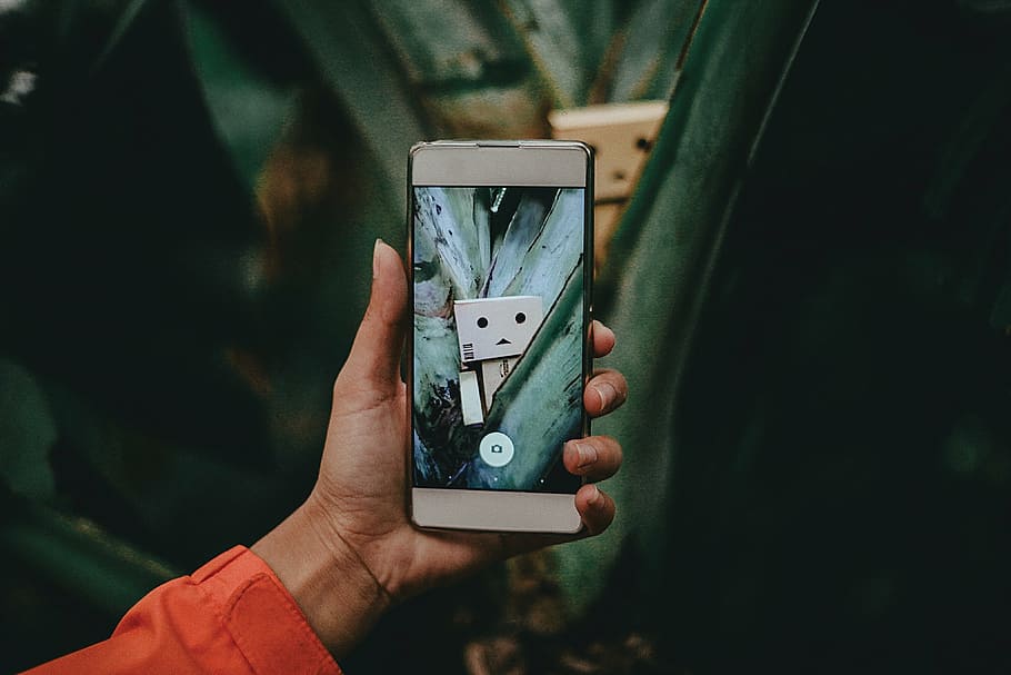 person holding white Android smartphone with black case displaying photo of Danbo HD wallpaper