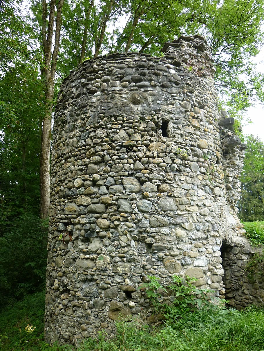 ruin, trees, forest, leave, stone wall, weathered, architecture HD wallpaper