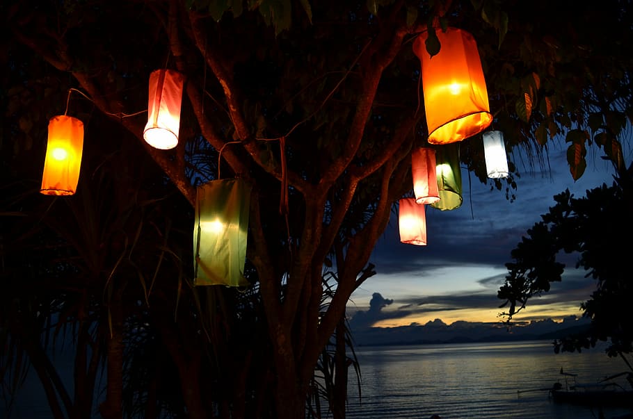 kaleidoscope lamp on tree, paper lanterns, light, sunset, night HD wallpaper