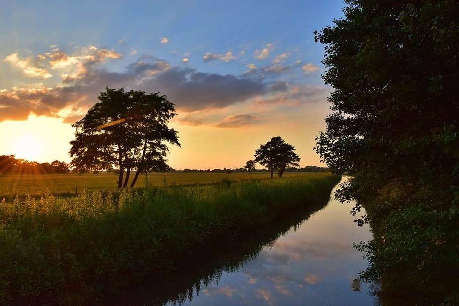 river beside crop field, Evening, Sunset, summer, abendstimmung HD wallpaper