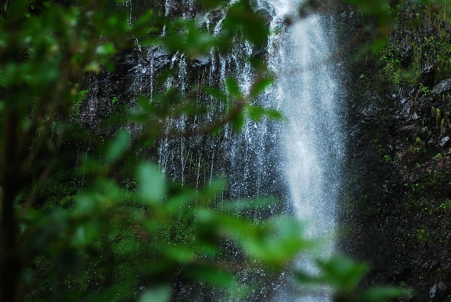 Waterfall, Greenery, Forest, mountain, nature, moss, no people HD wallpaper