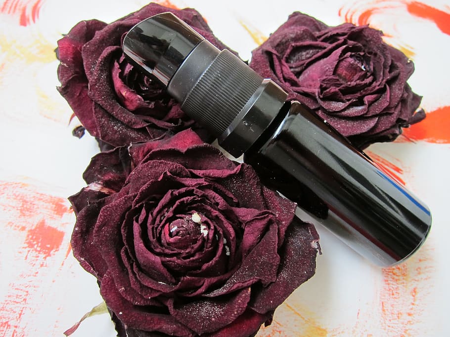 red roses and black spray bottle, serum, skin care, luxury, cosmetic, HD wallpaper