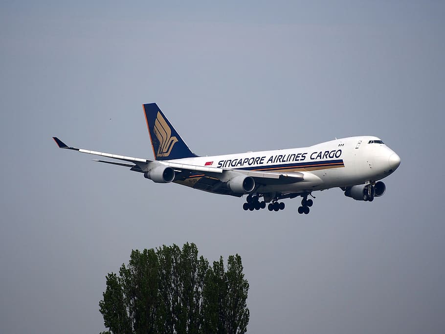 white Singapore Airlines Cargo airliner about to land, boeing 747, HD wallpaper