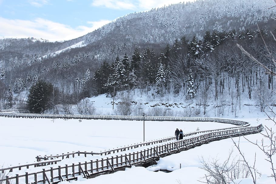 Winter, Snow, Cold, White, Landscape, snow landscape, karyağışı HD wallpaper